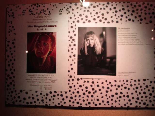 5. 3. Zita Mangenheimová - Saluky - Azyl