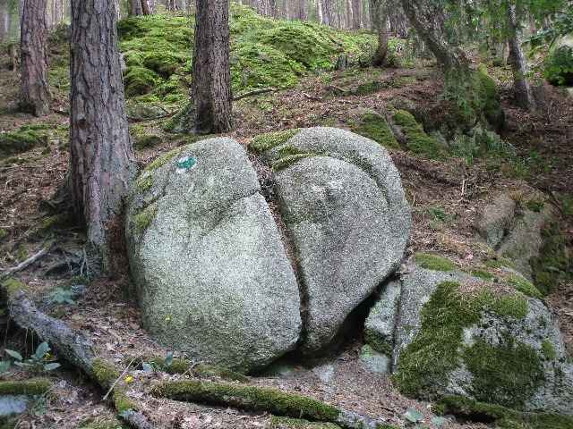 Bečovské rybníky