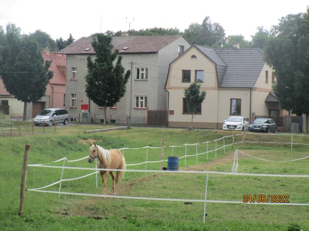 Cestou do Nýřan