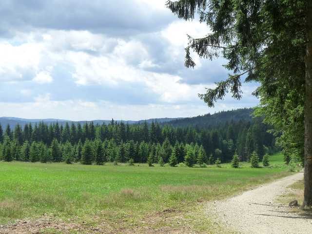 Basumské louky -blížíme se pomalu k cíli