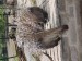 IMG_20260617_144959